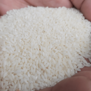 Rice-চাল