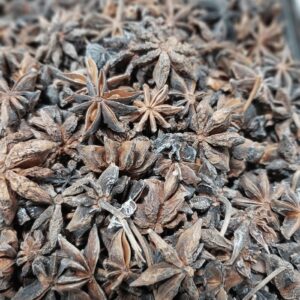 Spices-মসলা