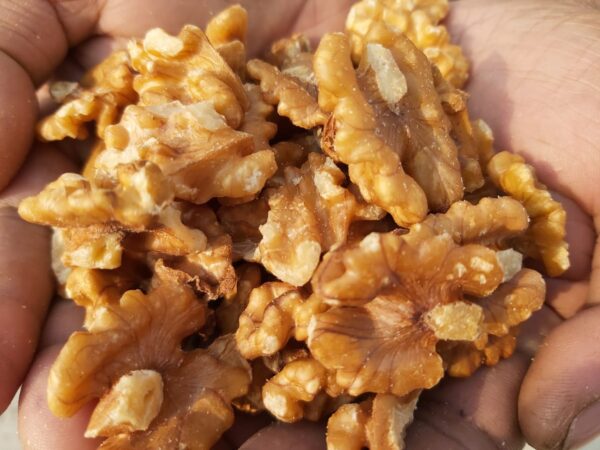 আখরোট