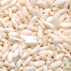 parched rice
