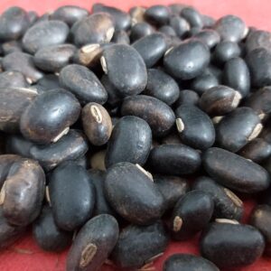 আলকুশি বীজ
