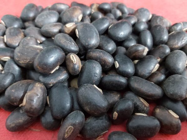 আলকুশি বীজ